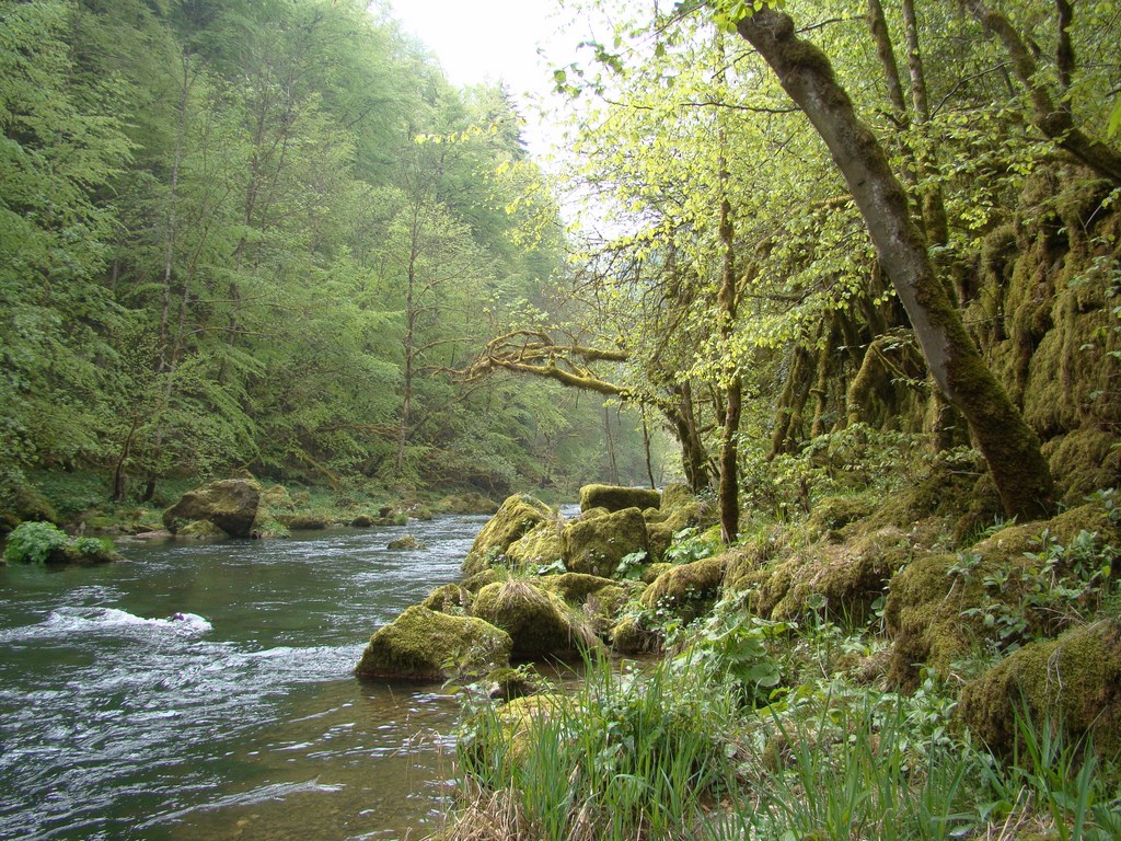 Le Doubs Franco-suisse au niveau du Torret
