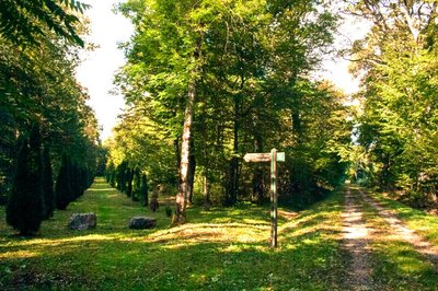 Cimetière des Pestiférés Recologne
