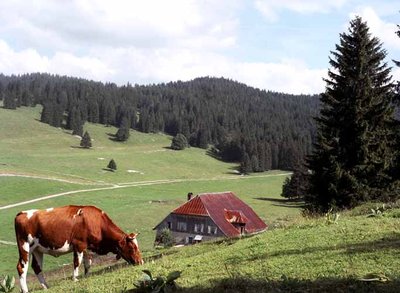 Paysage du Val de Mouthe