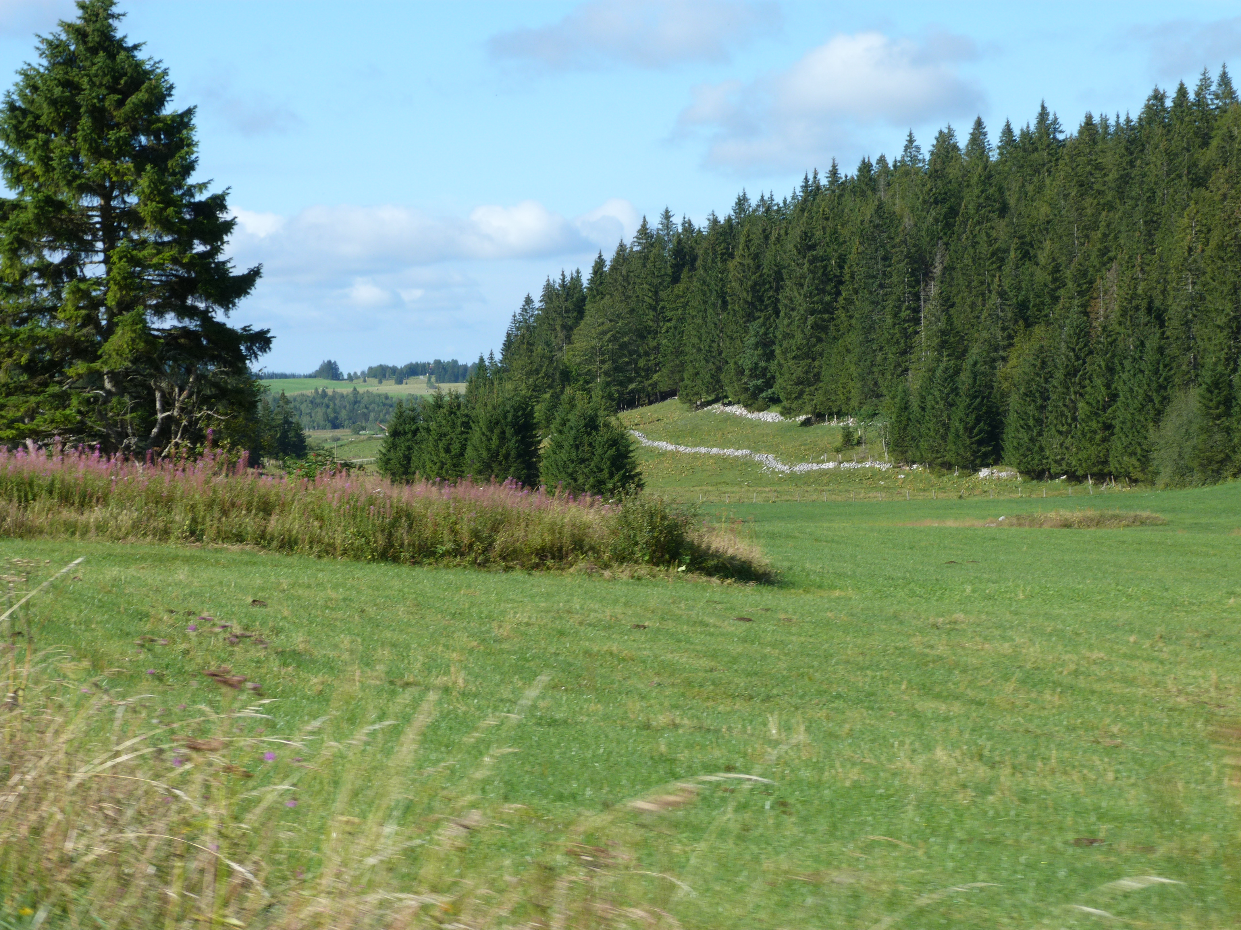 Prairie du Val de Mouthe