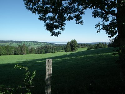 Pâturage de Longevilles-Mont-d'Or