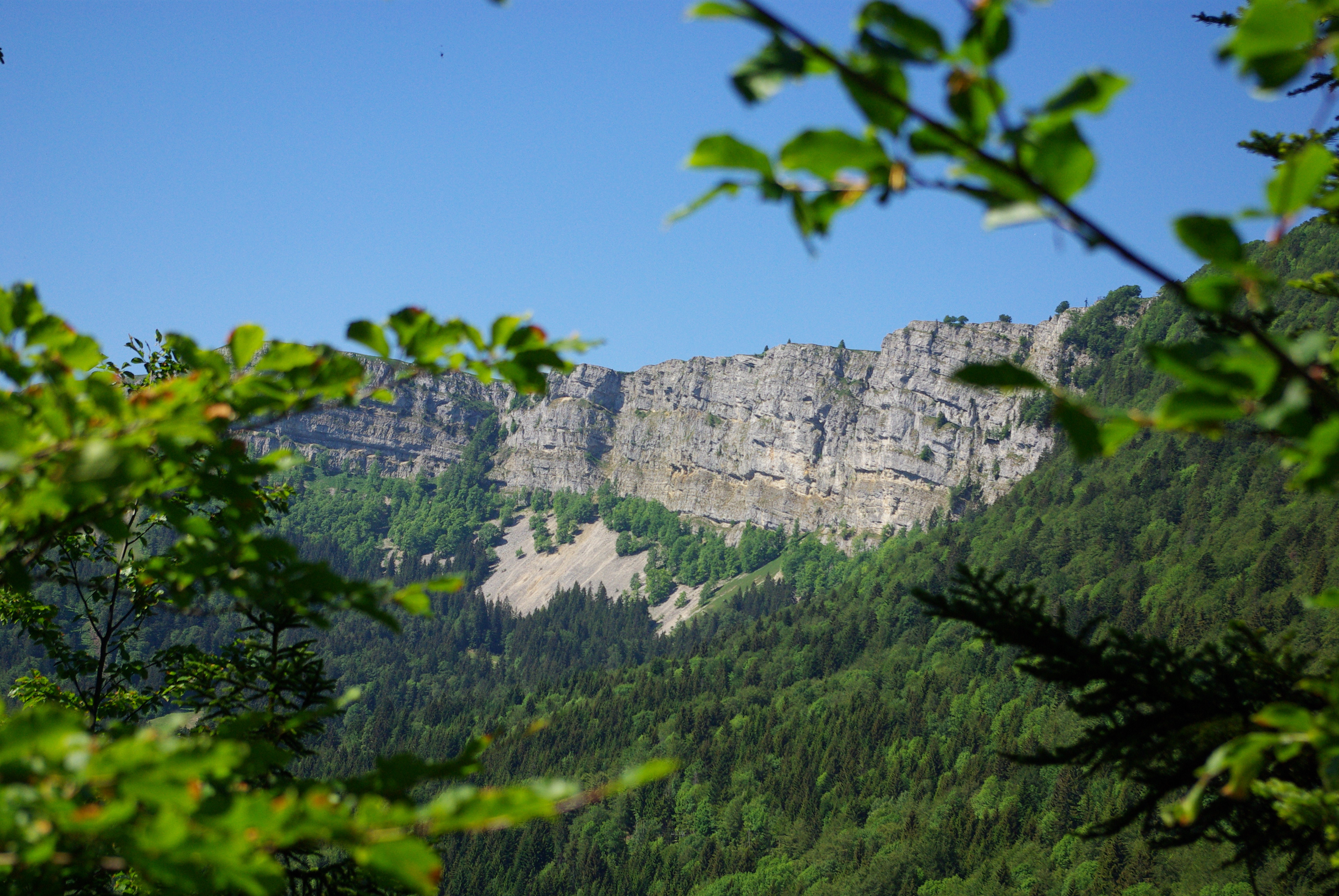 Vue sur les falaises du Mont d'Or depuis le Mont Ramey