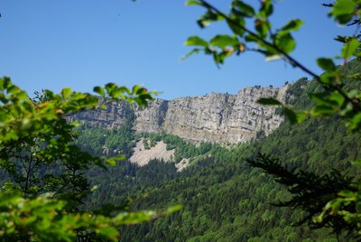 Vue sur les falaises du Mont d'Or depuis le Mont Ramey