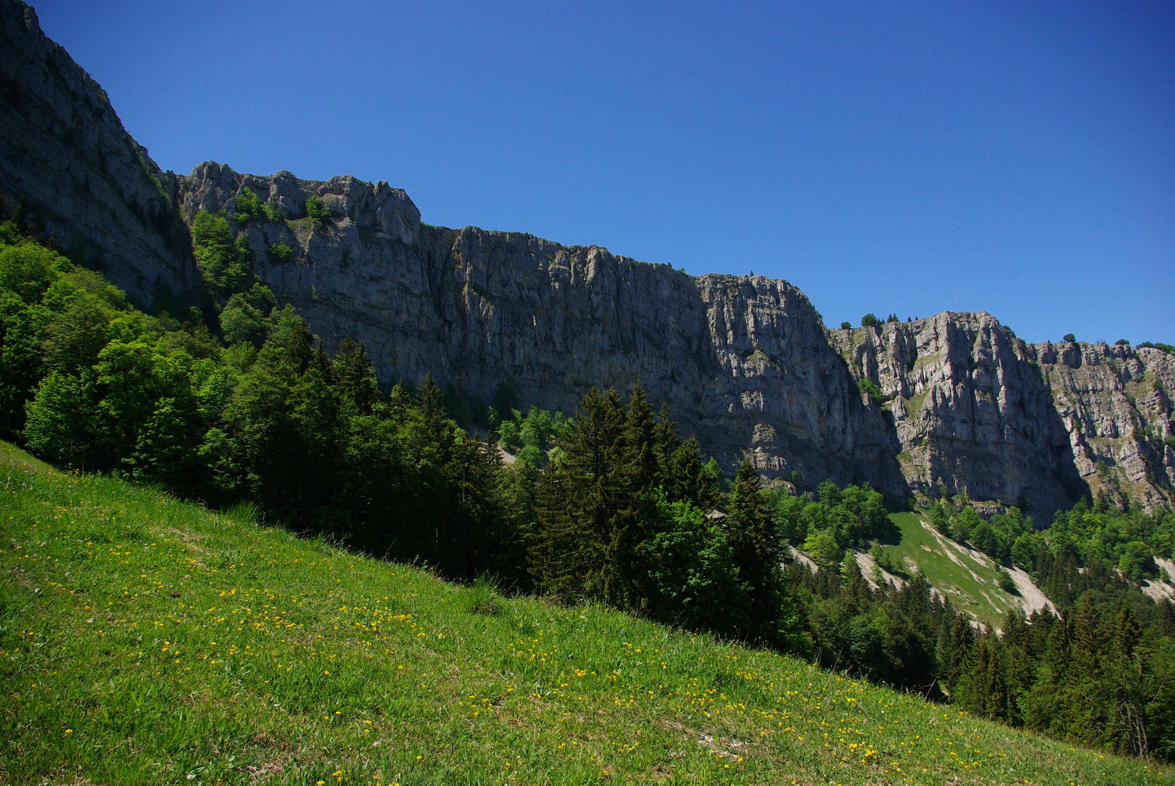 Sous les falaises du Mont d'Or