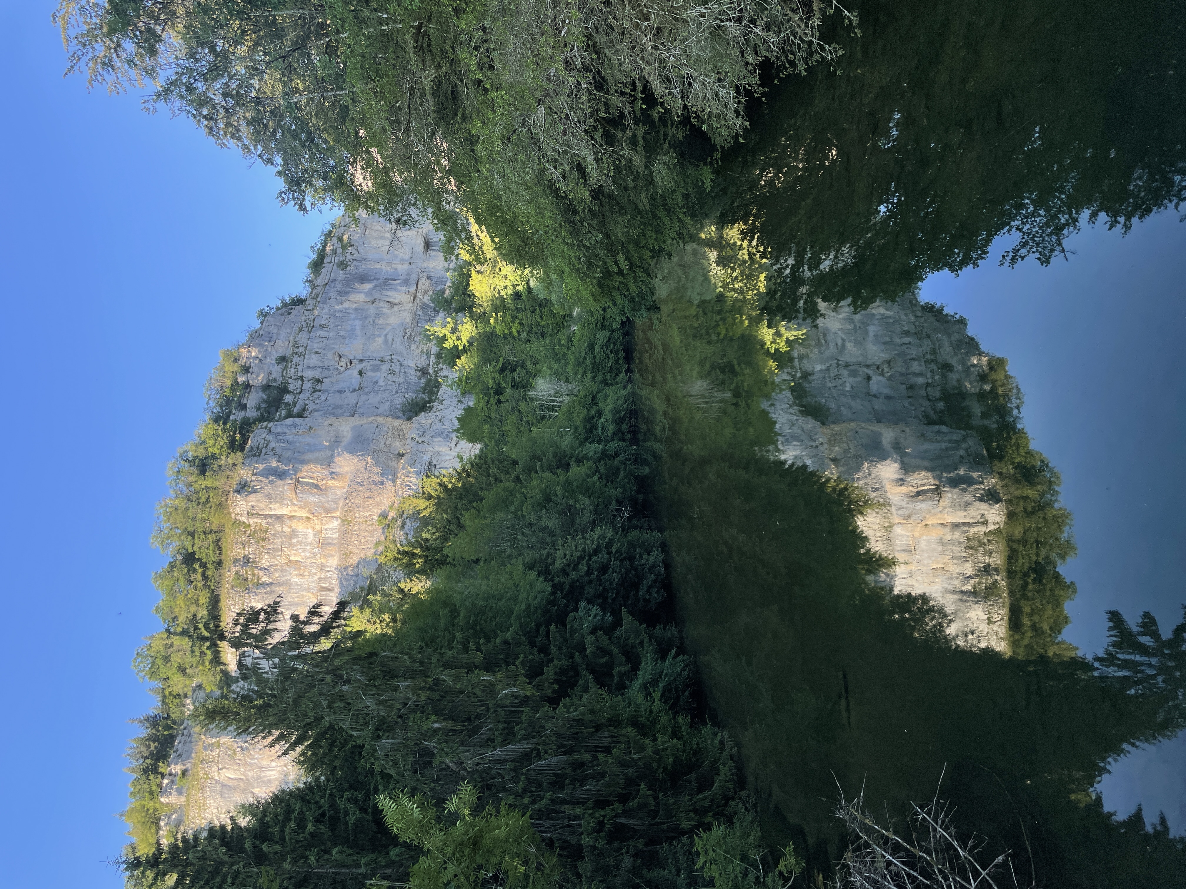 Le Dessoubre en miroir