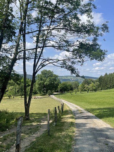 Chemin gravel à travers le plateau