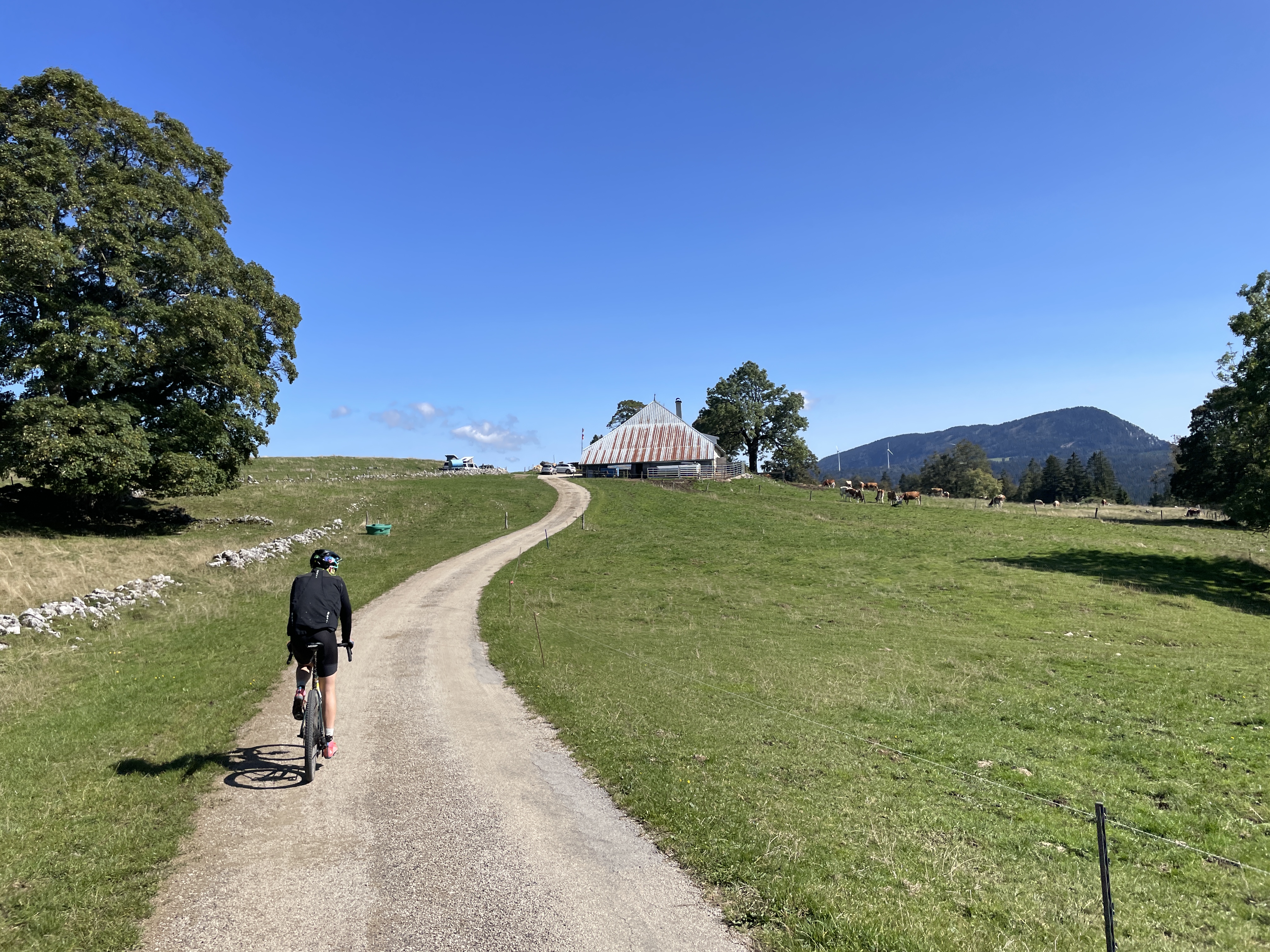 Arrivée au Mont de l'Herba