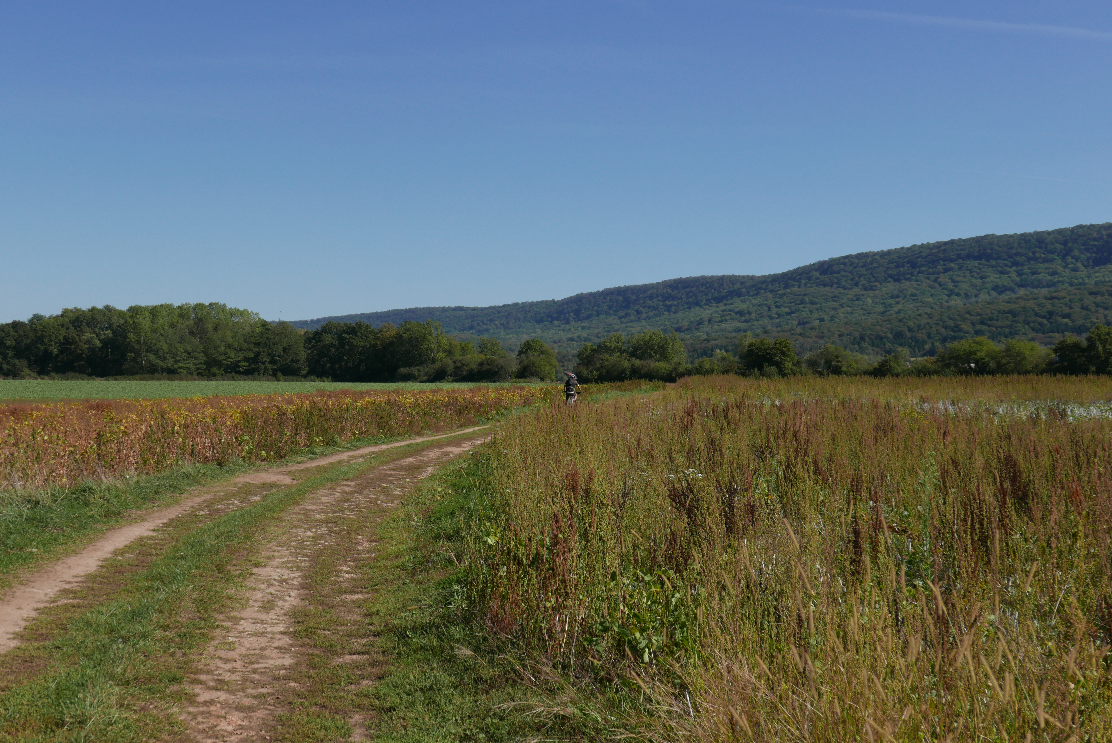 Chemin gravel dans la vallée de l'Ognon
