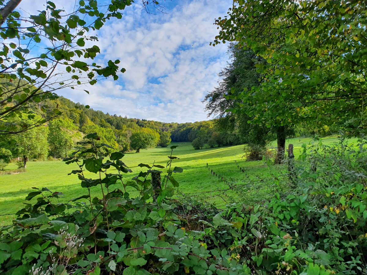 Sentier botanique de Rurey