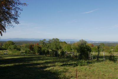 Vue sur les Vosges