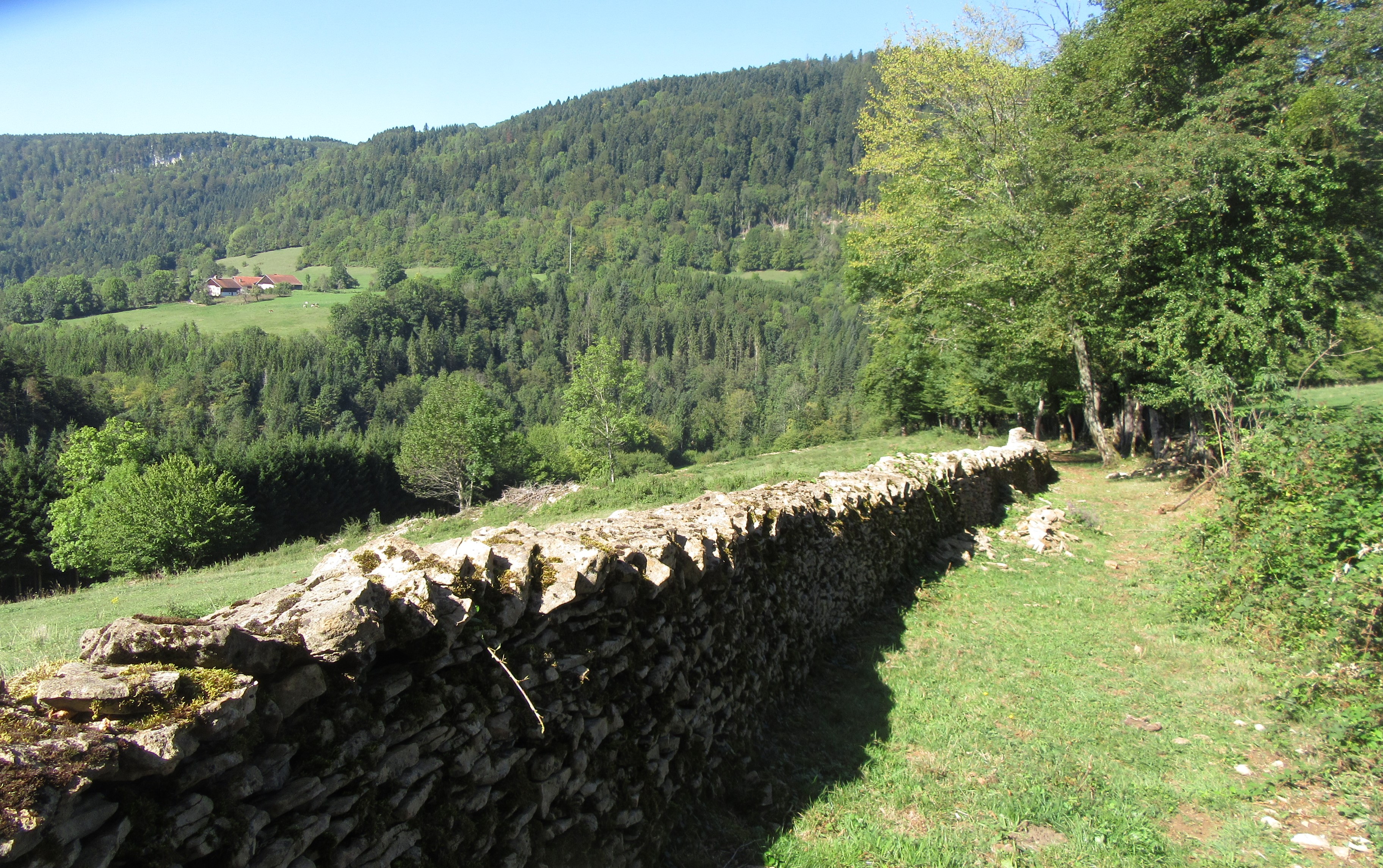 Les murs en pierres sèches, patrimoine jurassien