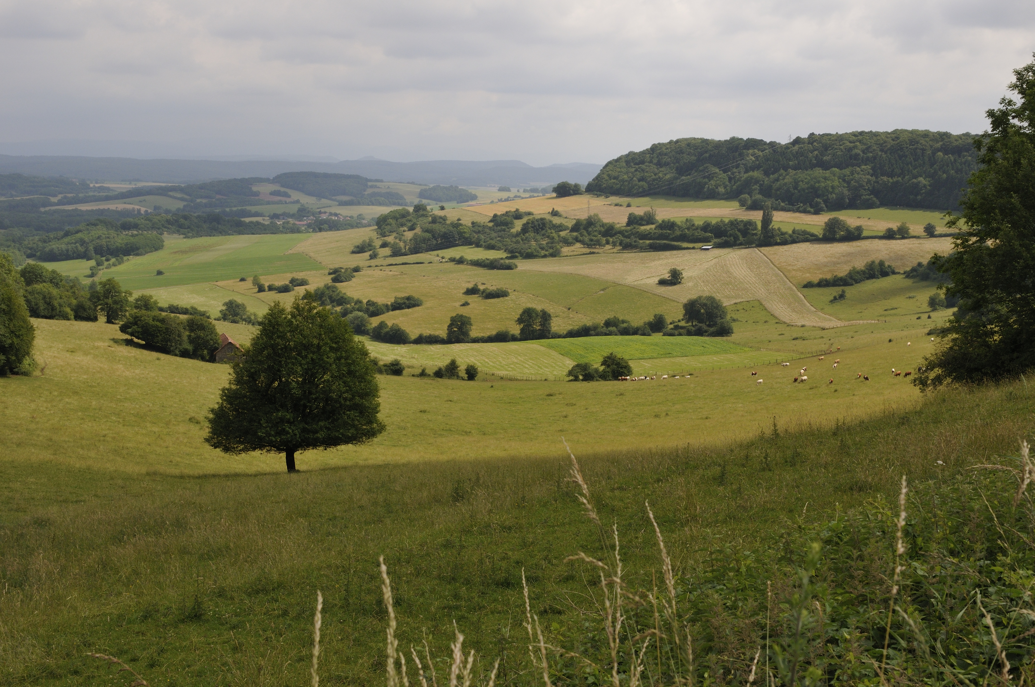 Village d'Accolans