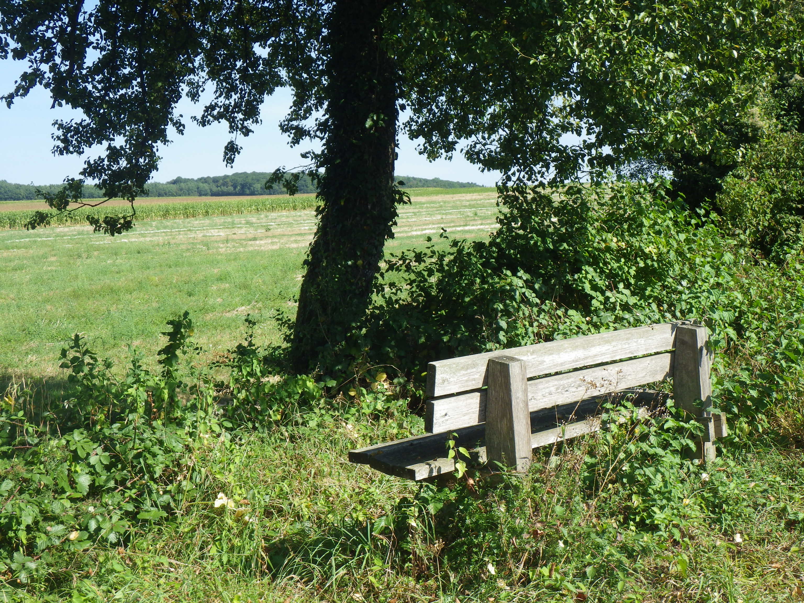 Pause le long du Chemin Vert