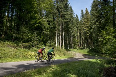 En vélo sur une petite route du Doubs