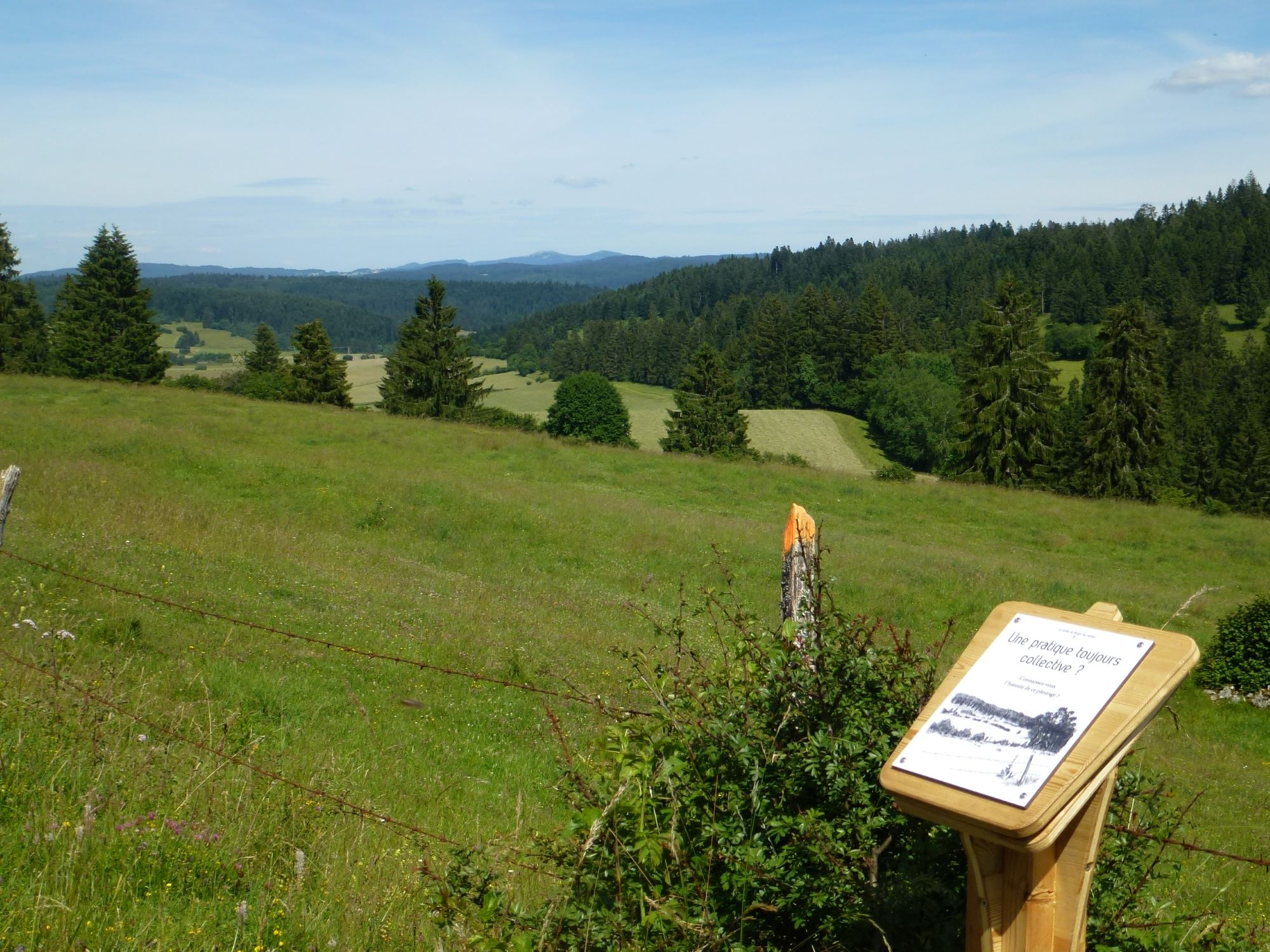 Sentier du berger et des vaches