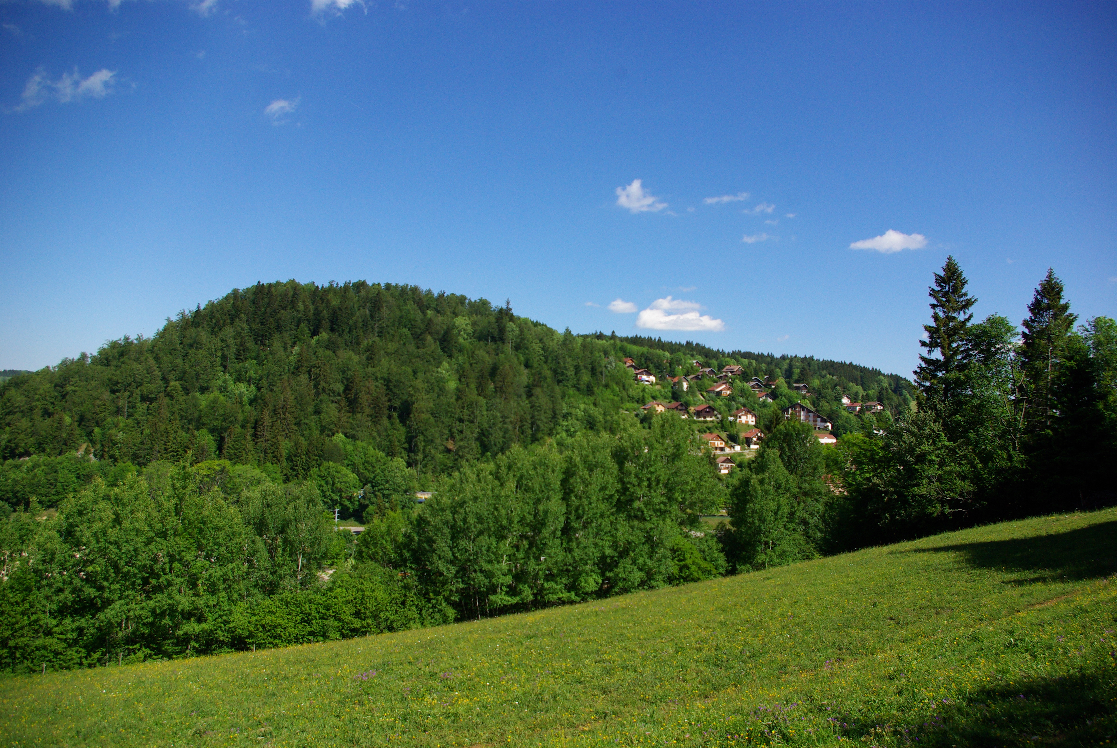 Balade sur le Mont Ramey