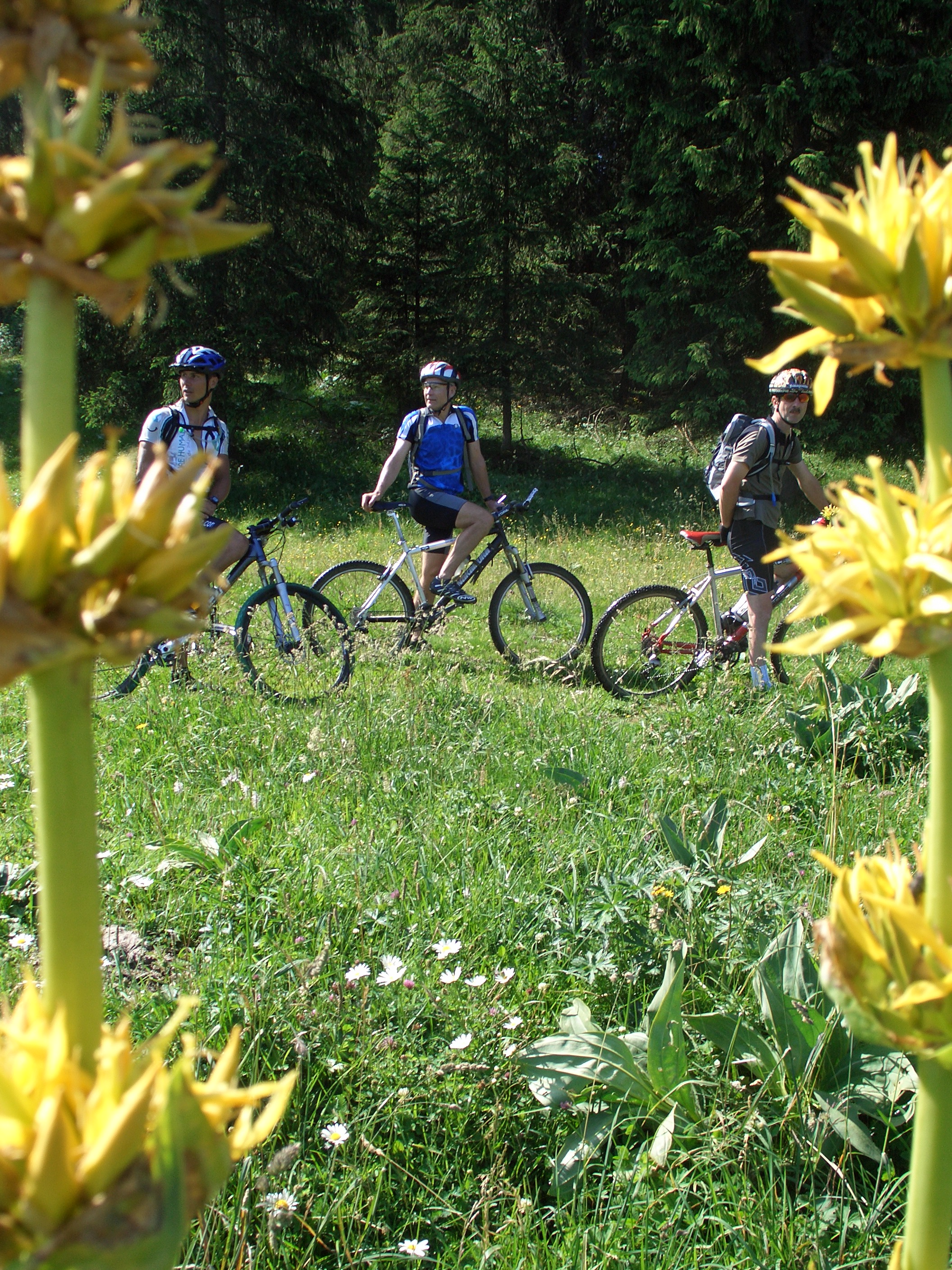 Pâtures des Longevilles