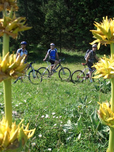 Pâtures des Longevilles