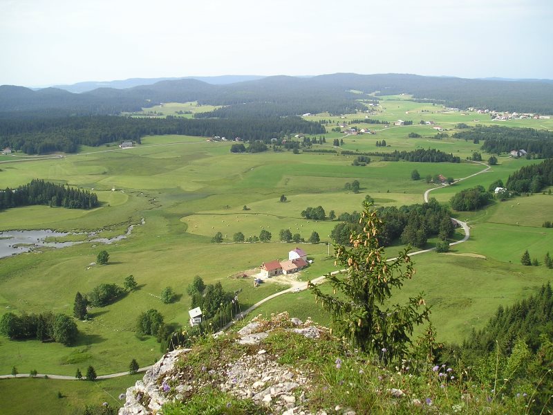 Vue depuis la Roche Bernard