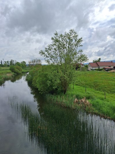 La rivière le Drugeon depuis le pont de Dommartin
