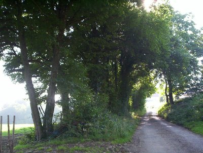Chemin VTT à Fontenotte