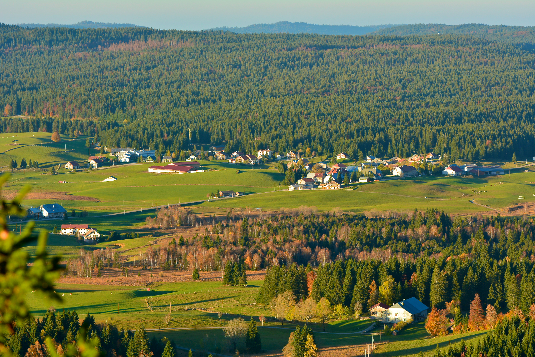 Vue sur Chapelle-des-Bois