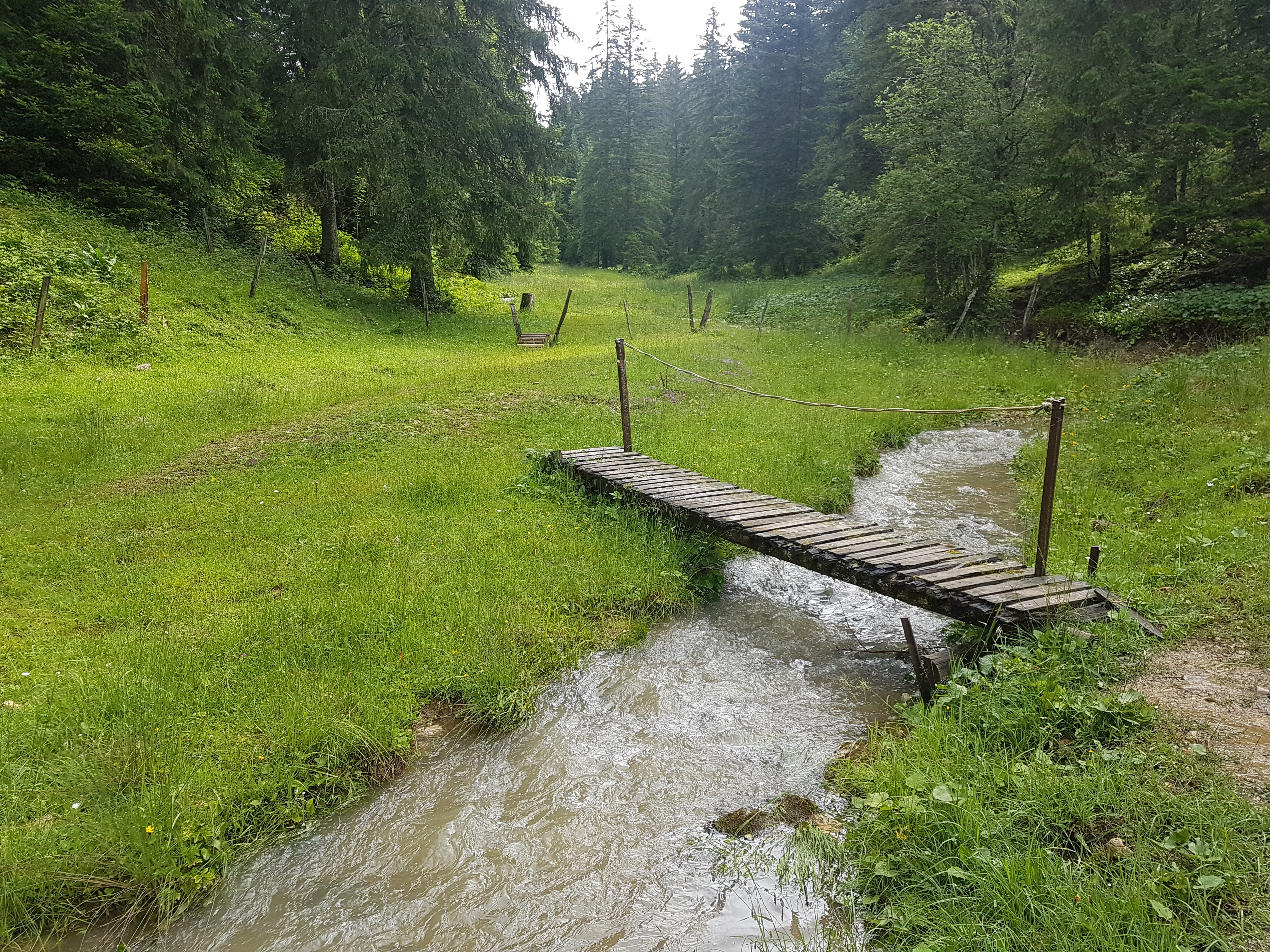 Pont en bois sur le ruisseau au Cernet de Doubs