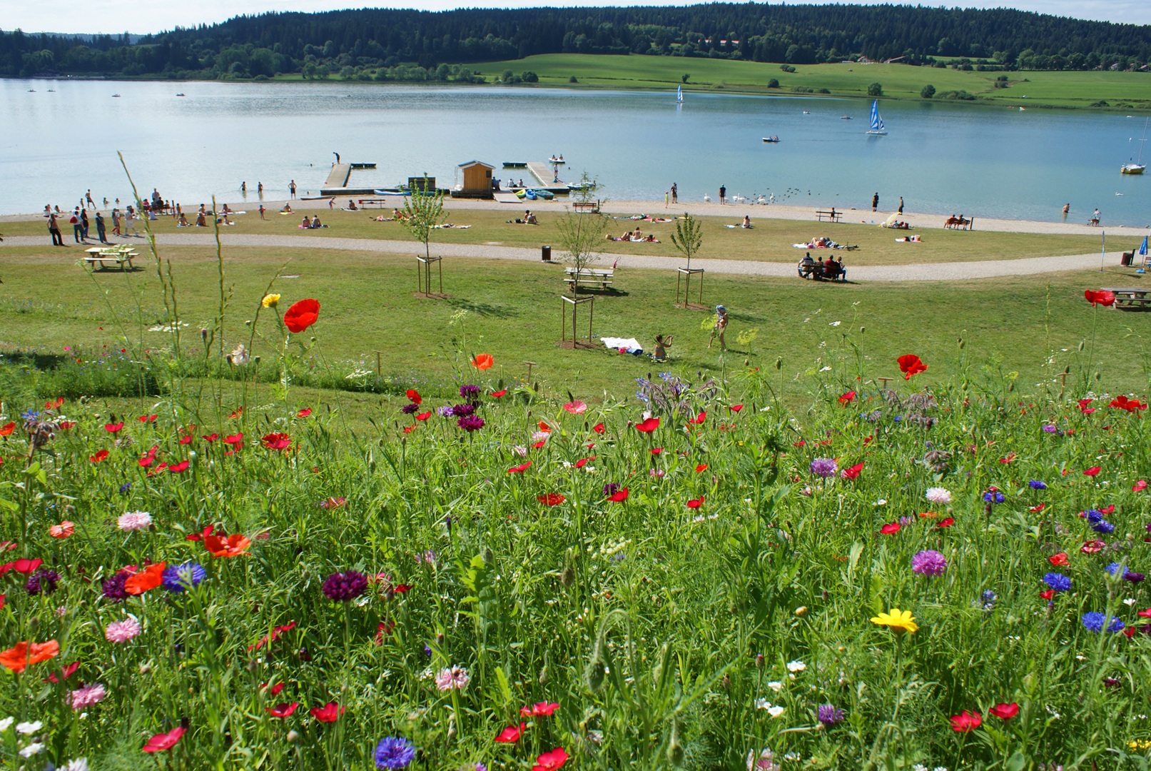 Lac Saint-Point