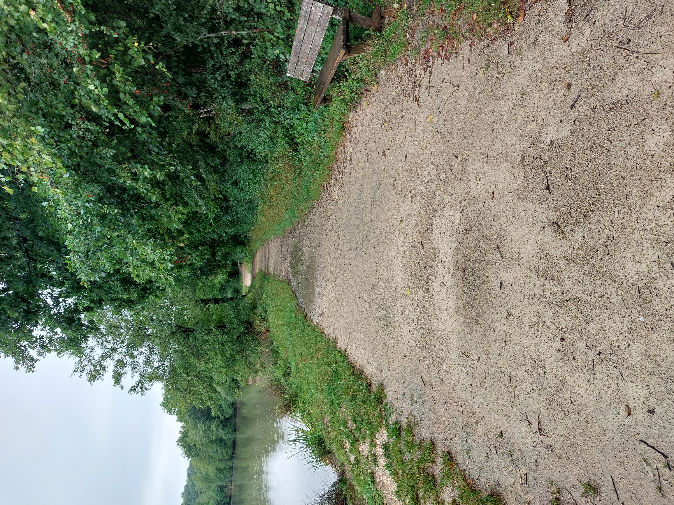 Chemin en tout-venant bordé par un étang à gauche et une haie arborée à droite.