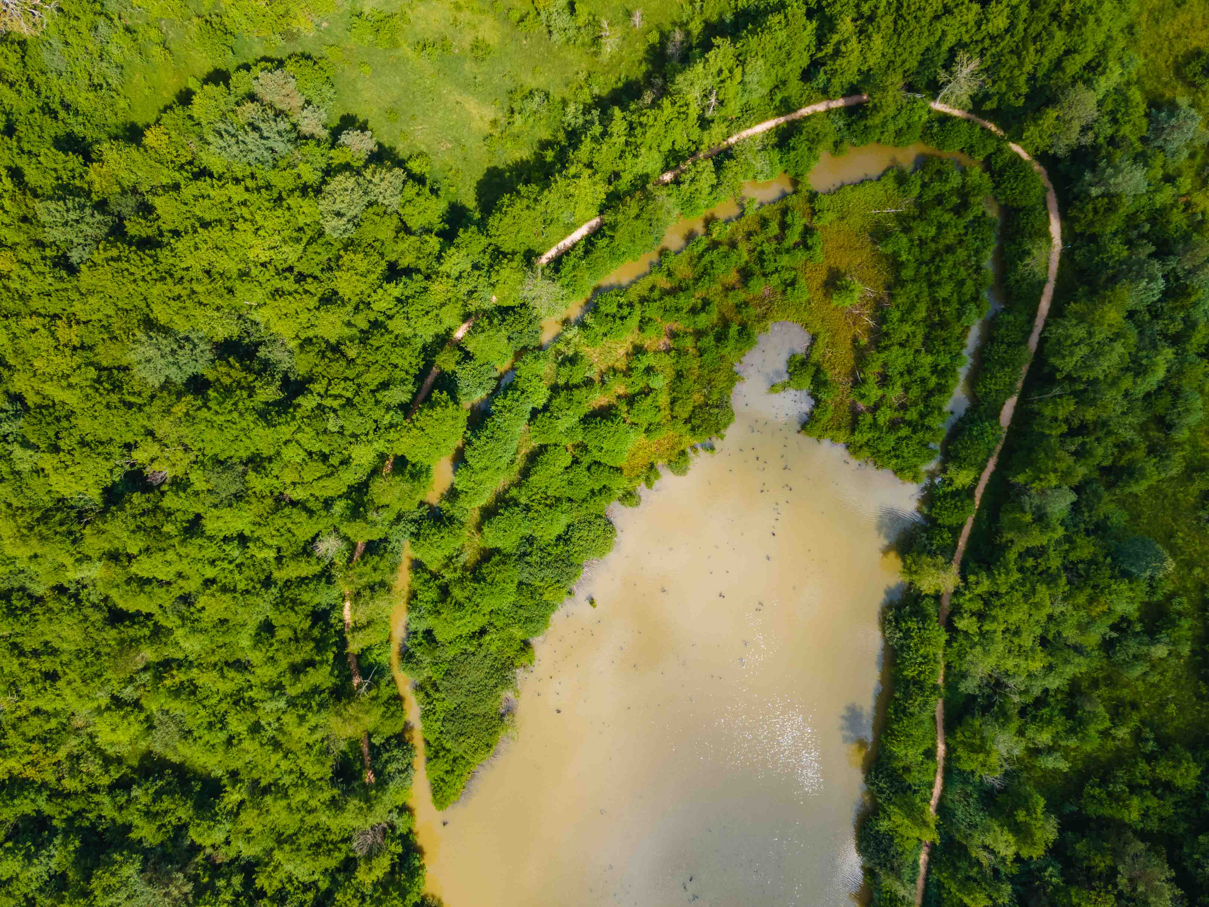 Vue par drone