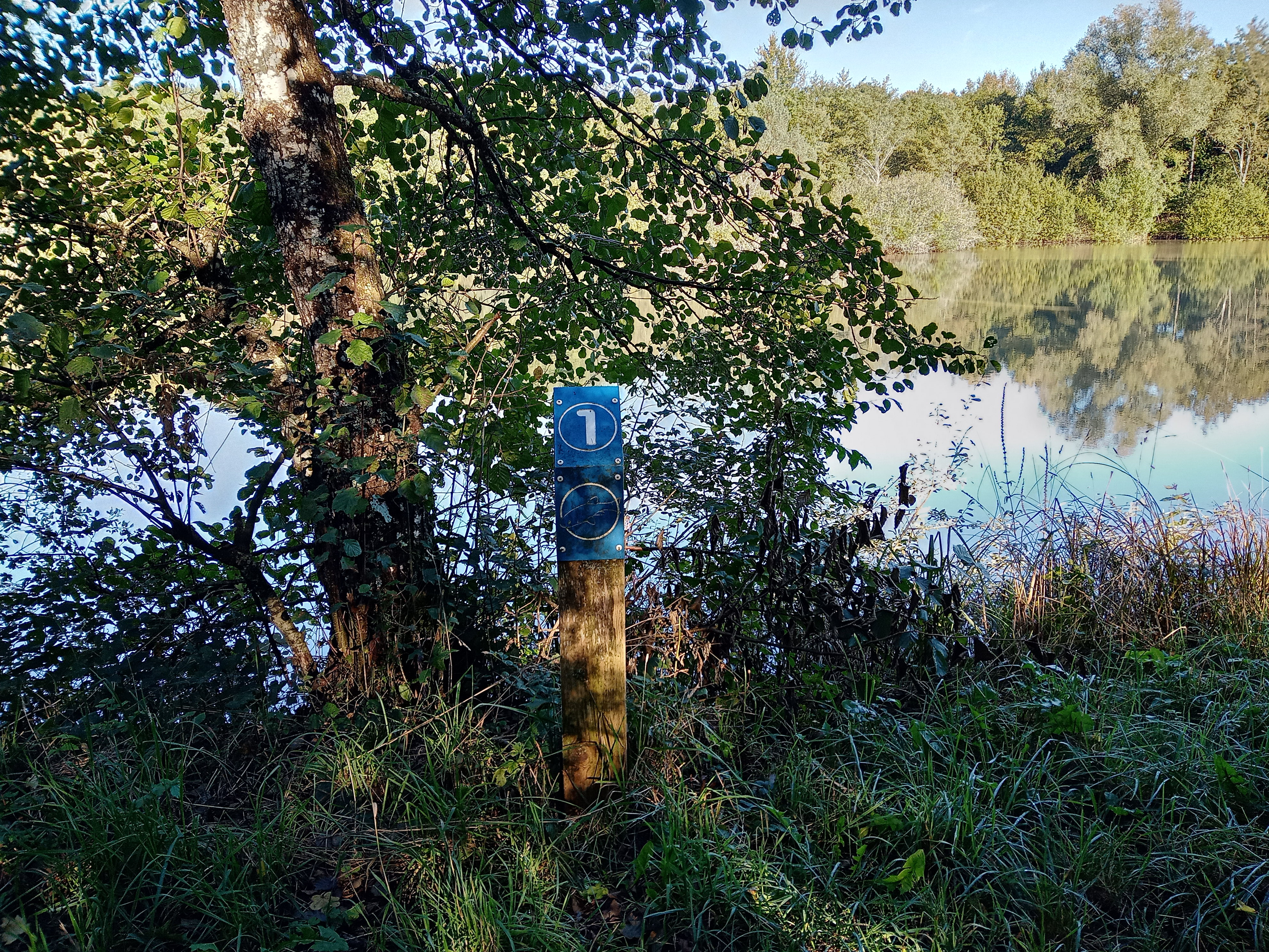 Borne en bois avec un chapeau bleu marqué du numéro « 1 » et d'un dessin de truite. En arrière-plan, l'étang de Breuillez.