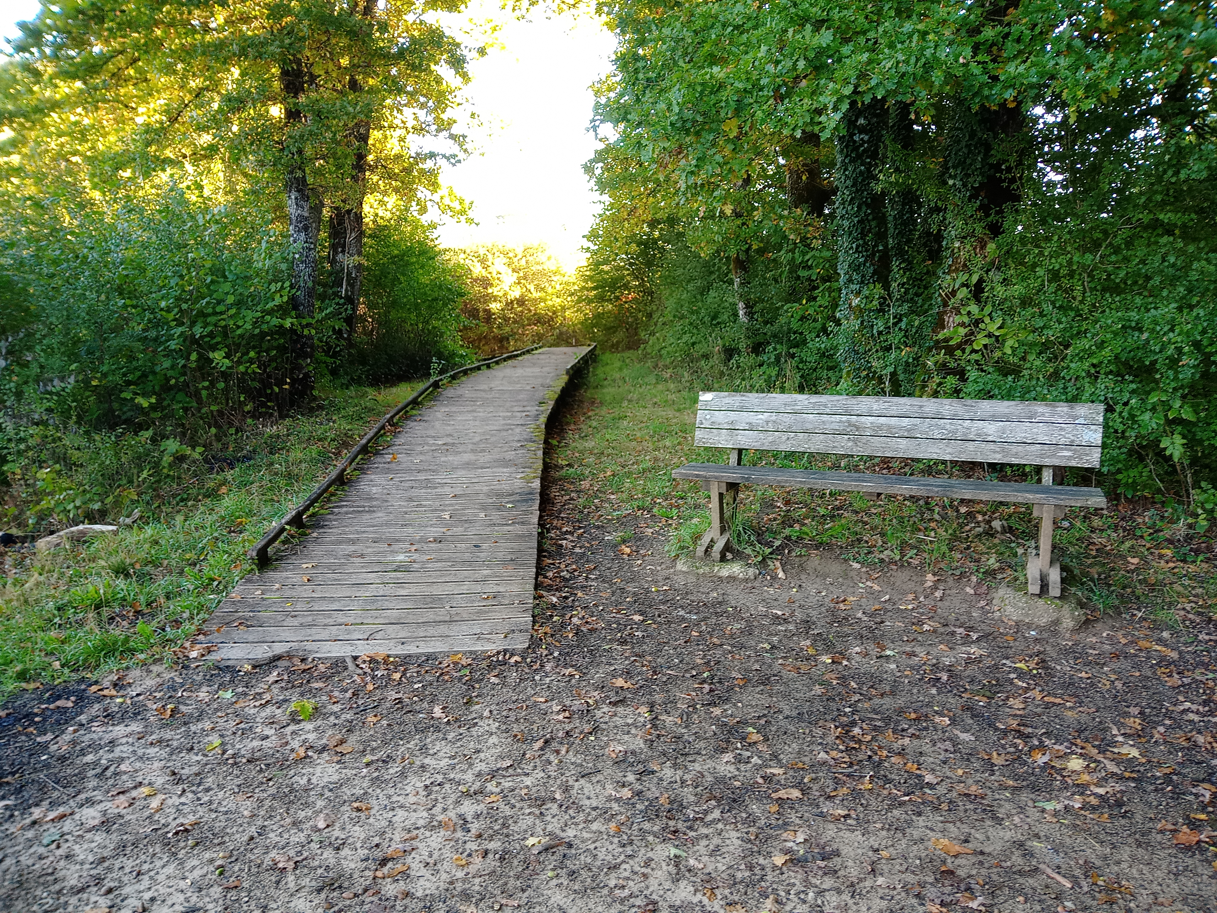 Ponton en bois en pente montante avec un banc sur la droite.