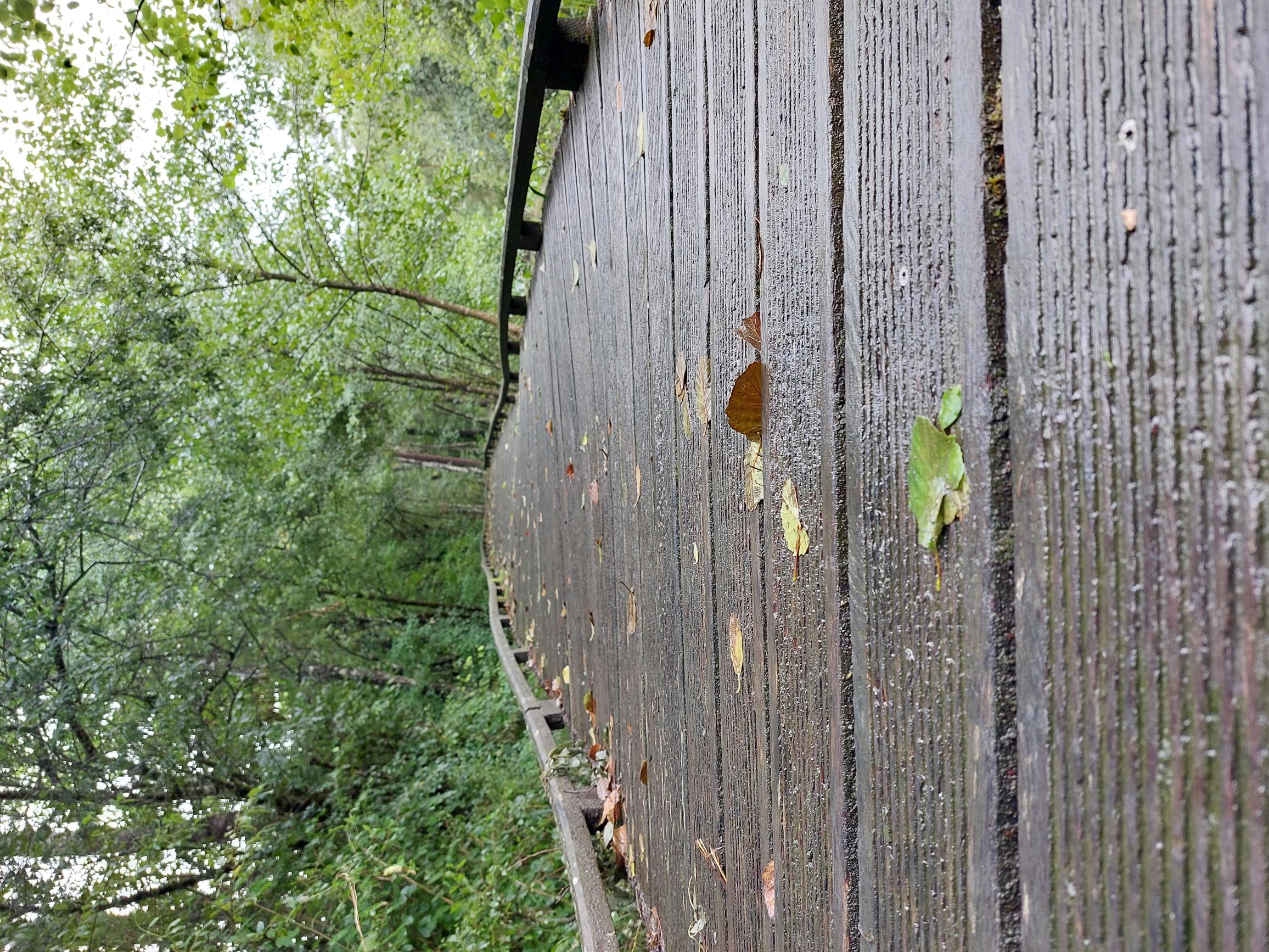 Ponton en bois humide délimité par une barrière de 10 centimètres de haut. Le pont présente plusieurs micro-dévers sur la gauche et la droite.