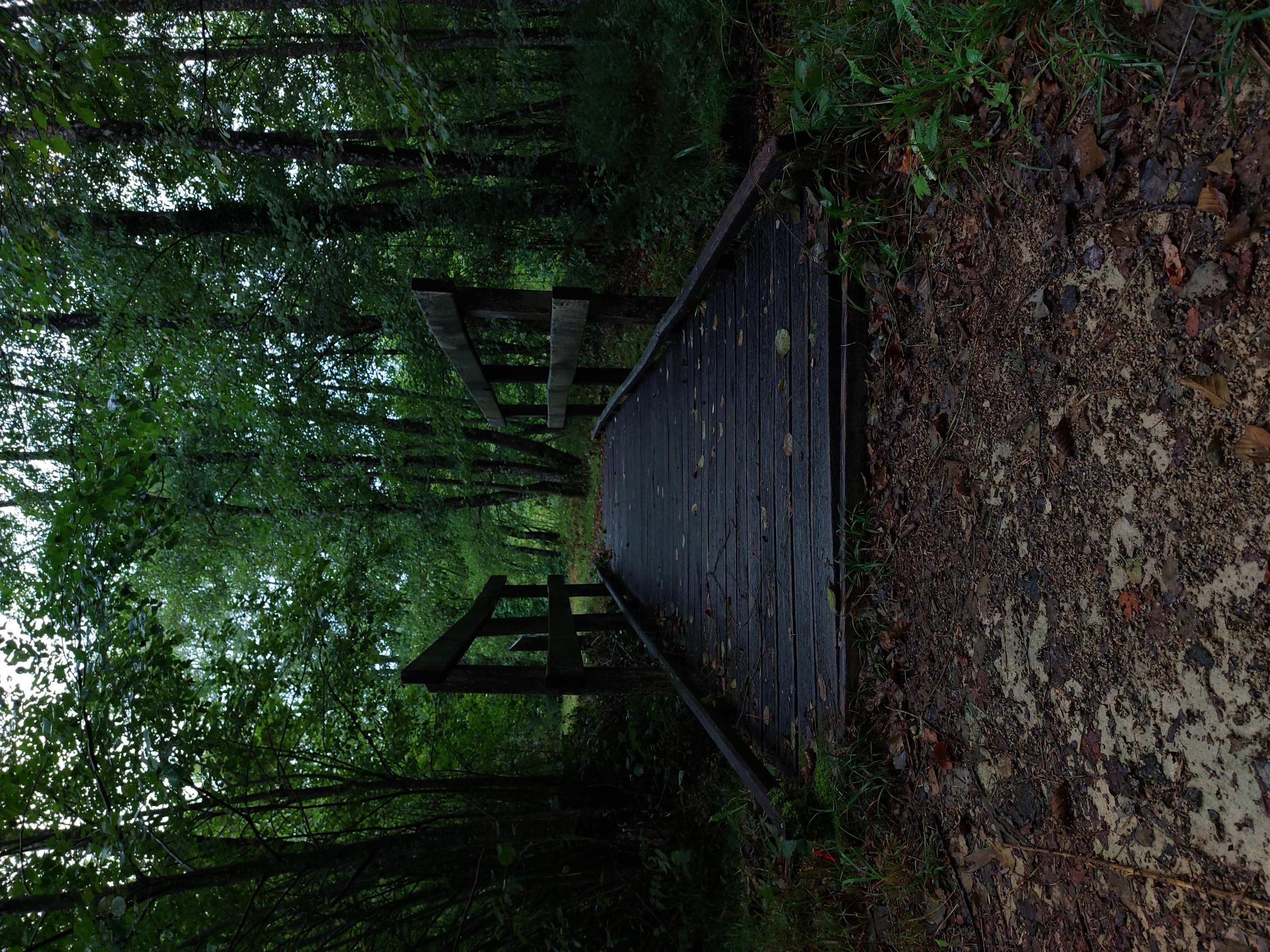 Pont en bois franchissant un fossé et entouré d'une végétation arborée.