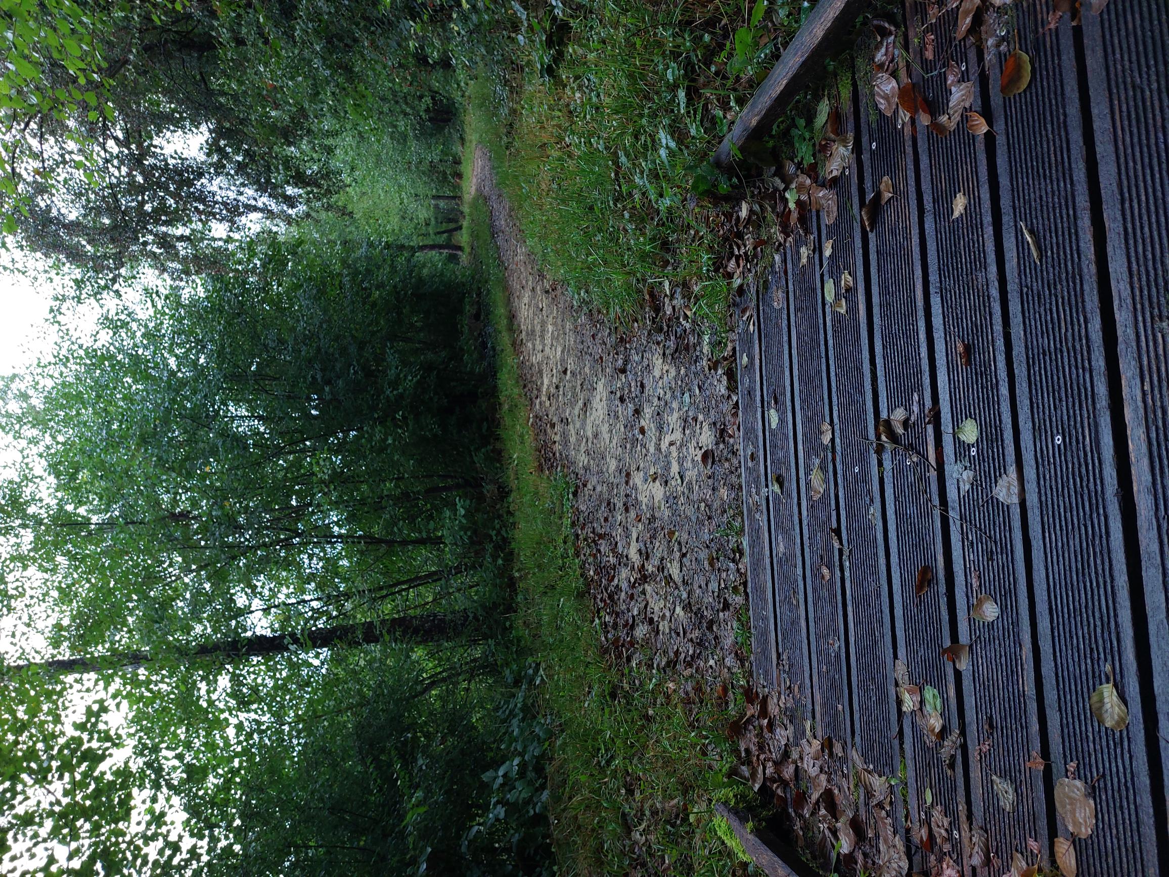 Fin d'un ponton en bois débouchant sur un chemin en tout-venant entouré par une végétation arborée.