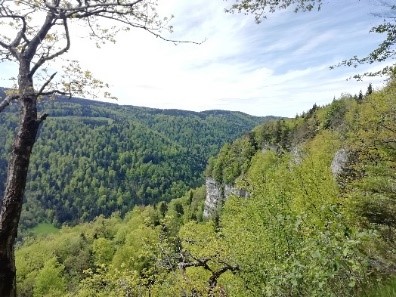 Creux de Hauteroche