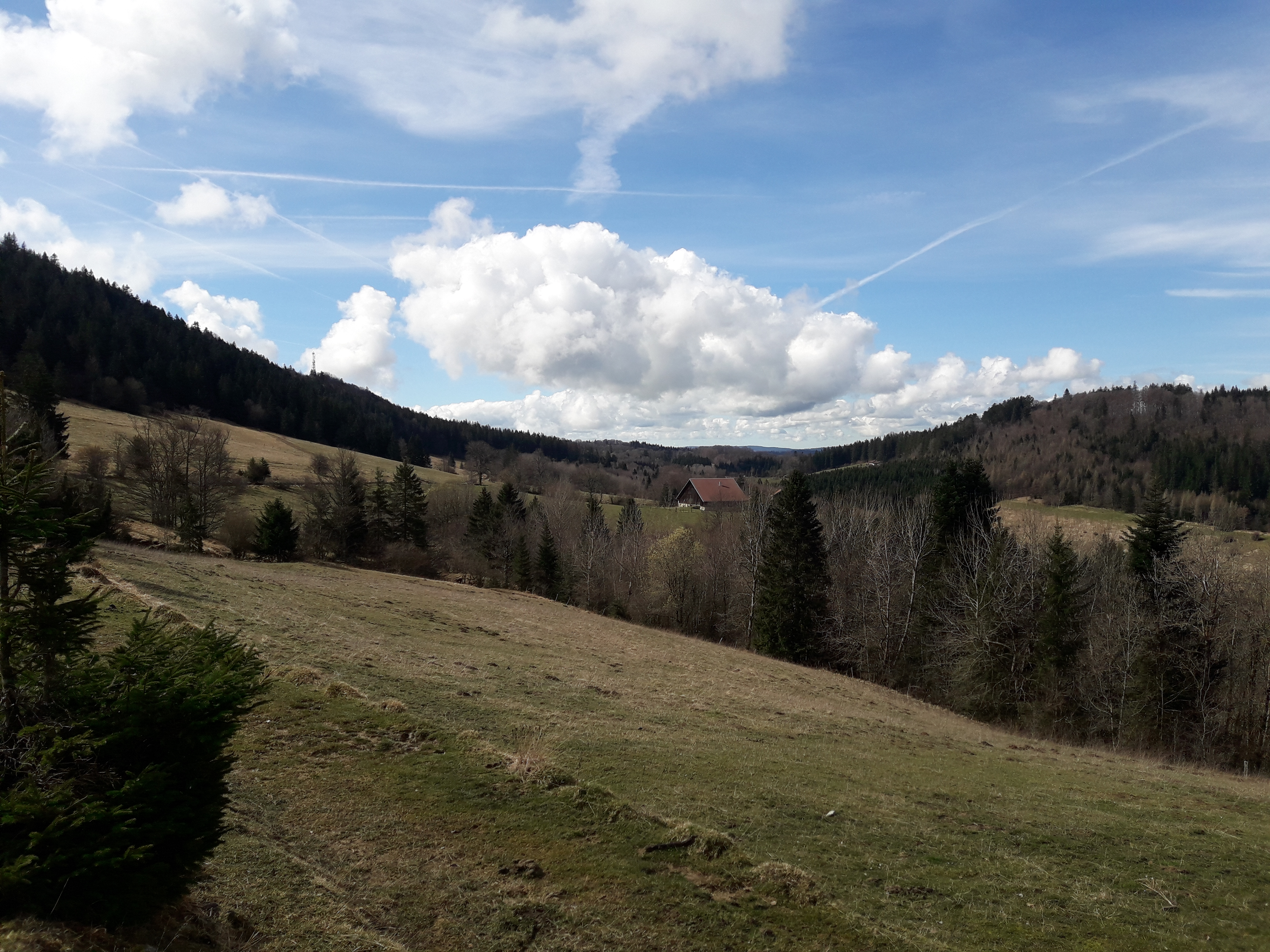 Combe du Creux