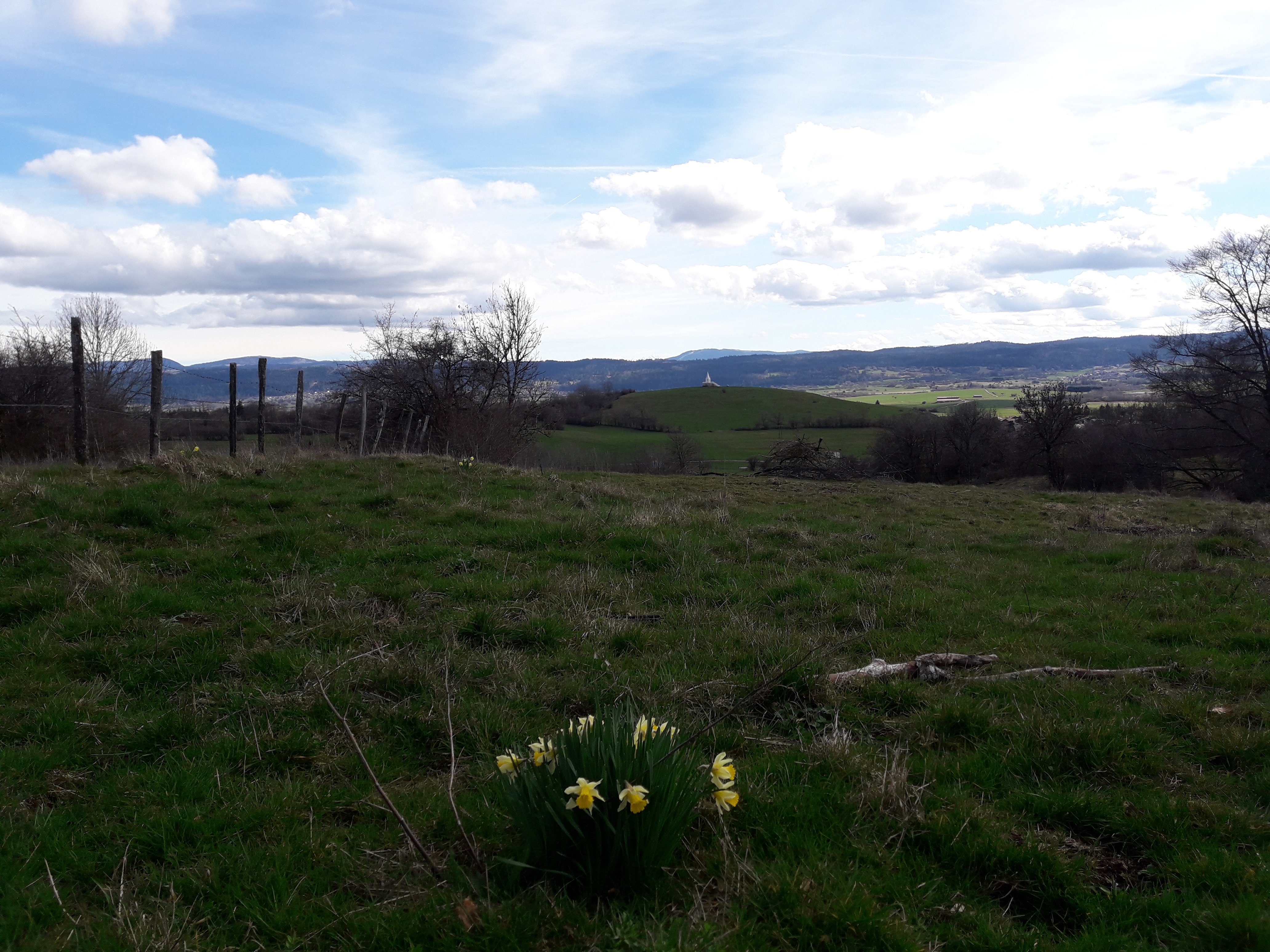 Point de vue de Chaffois depuis l'Arbre remarquable