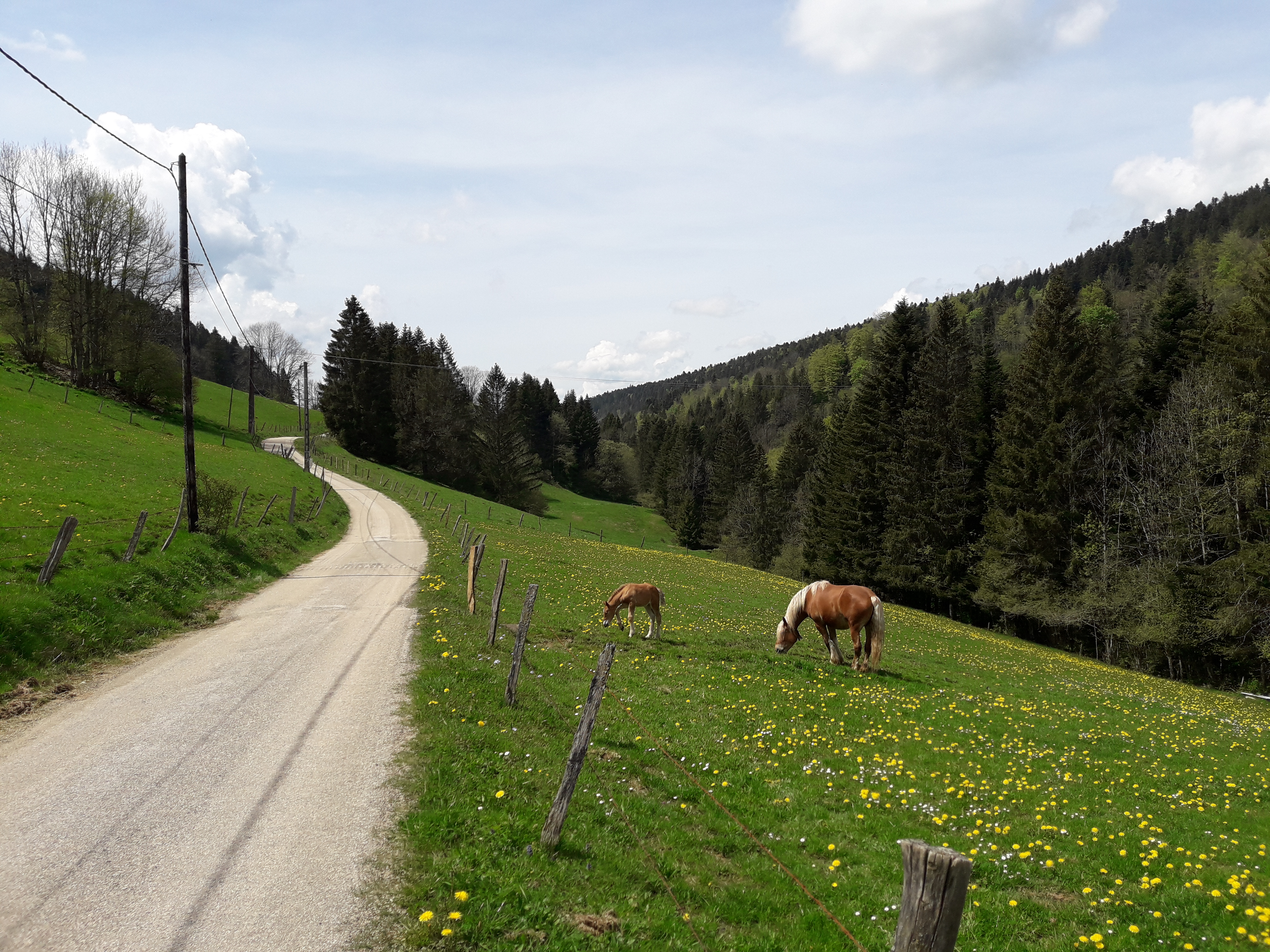 Vallée des Etraches