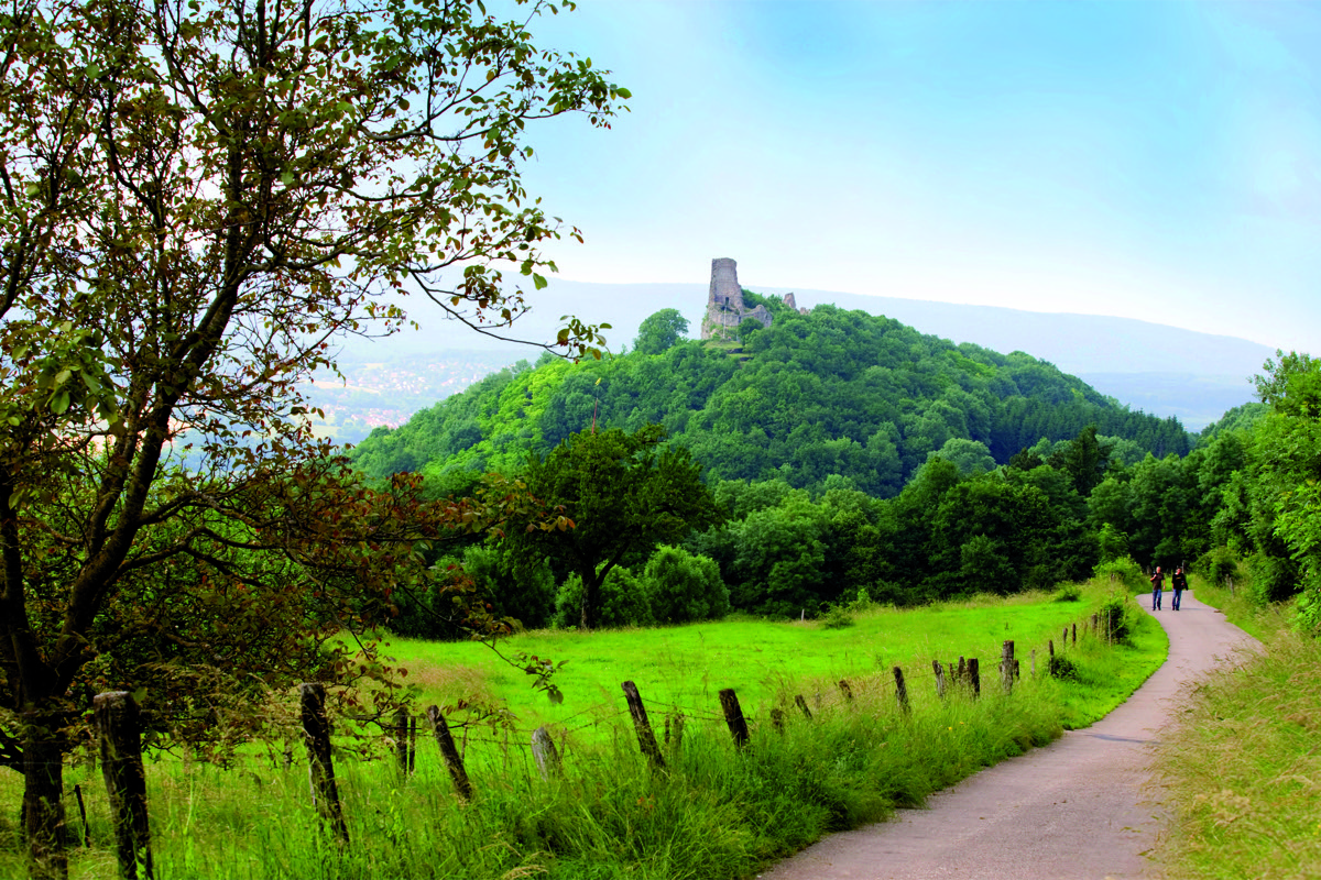 Vue sur le château de Montfaucon