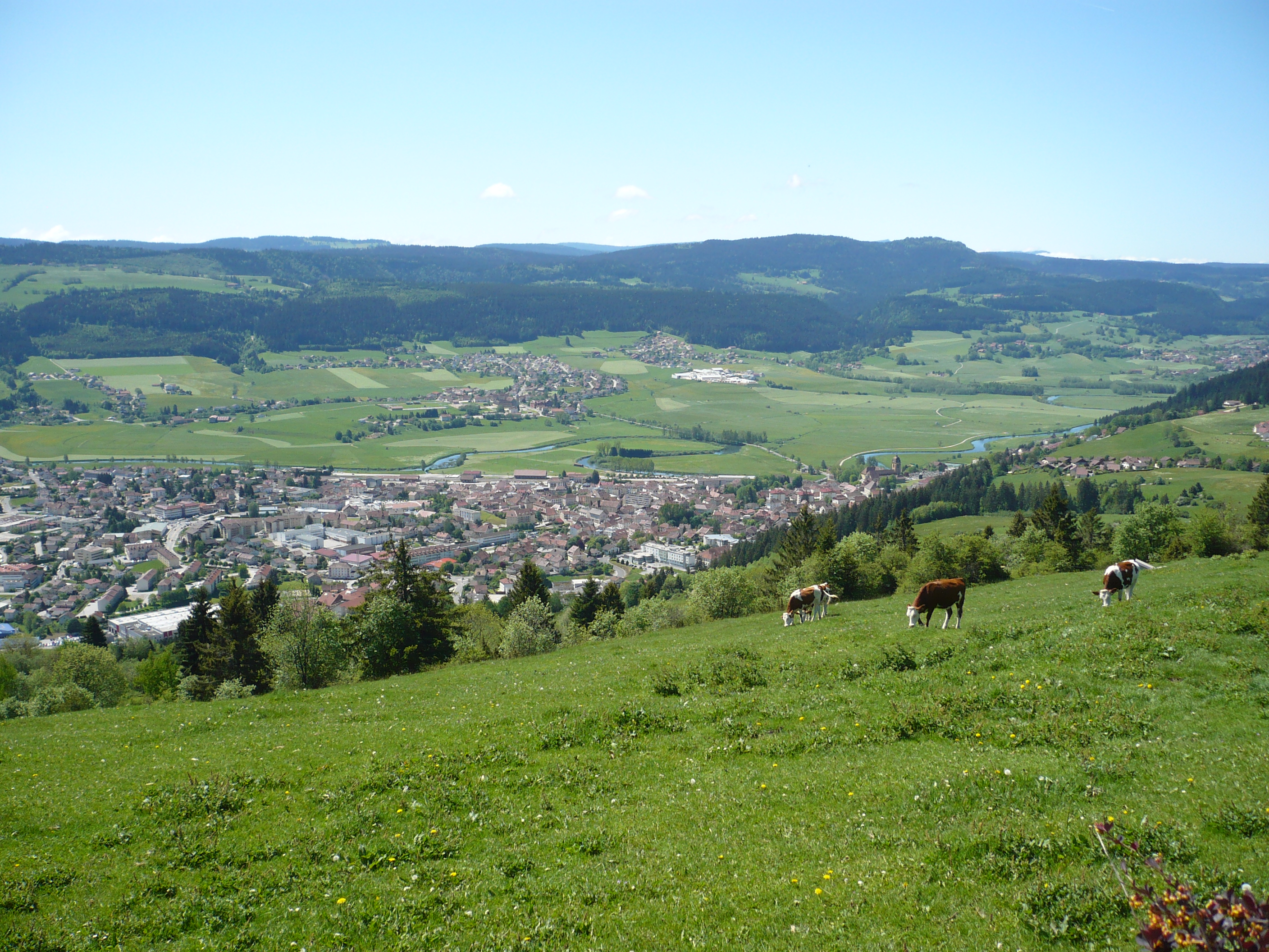 Mont Vouillot