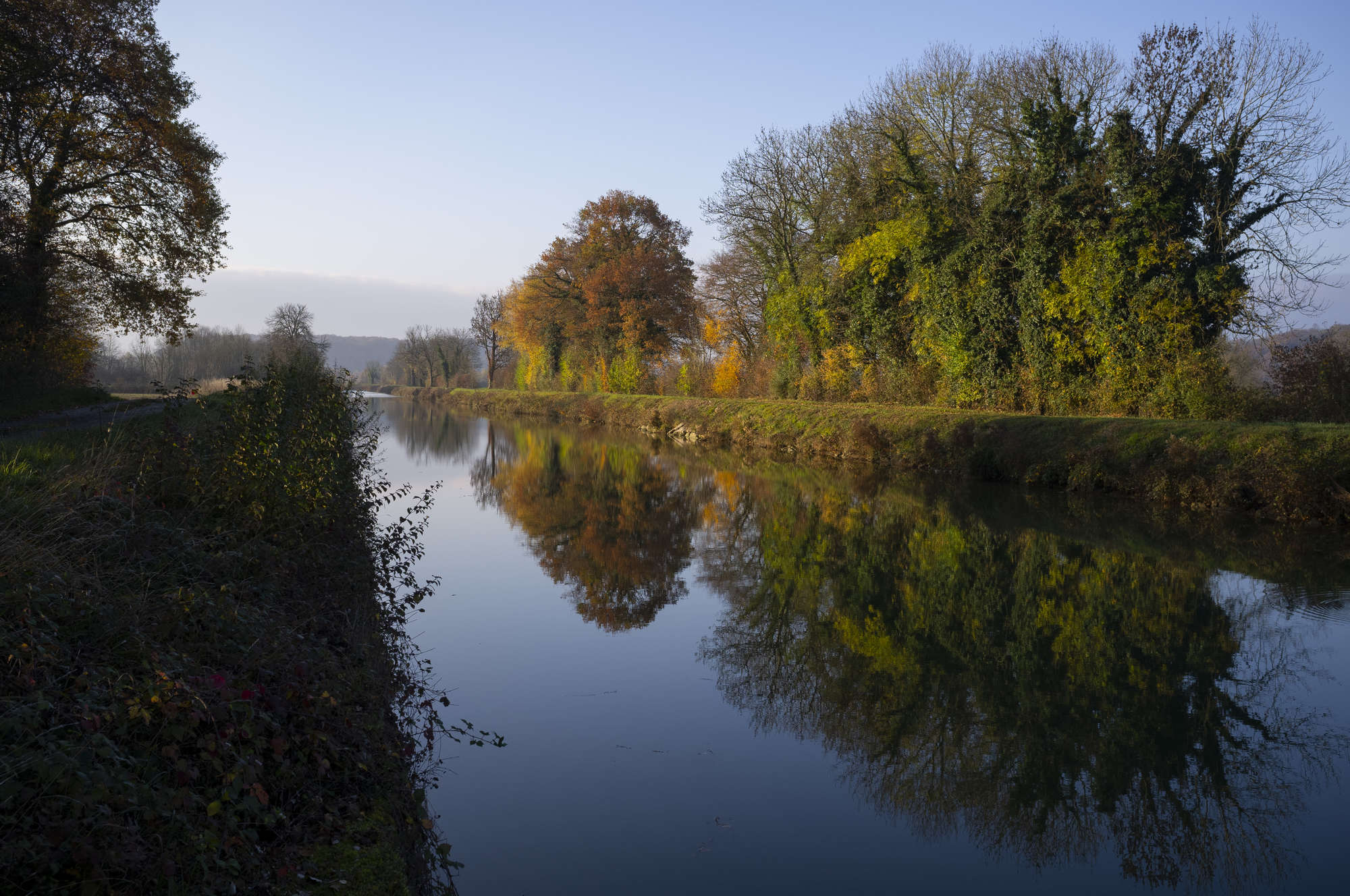 Bords de canal au matin
